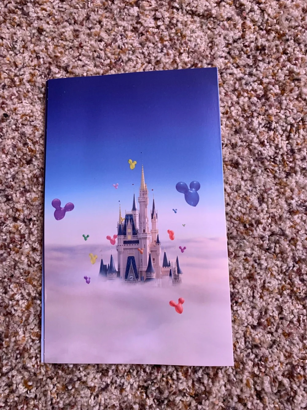 Disney Castle Luggage Tag - Where Dreams Come True